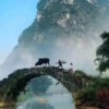 深者入戏