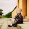 遥远的感知