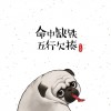 喜欢CE2019