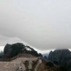 范东福