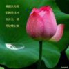 练炼