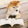 求索
