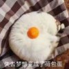 格式化:_O