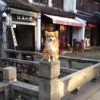 六小时
