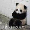 销声碎