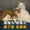 雅梅