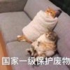 小李小李