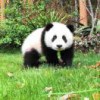 云淡风轻