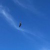 LU_22