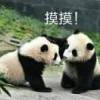 好朋友