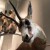Mr.Curiosity_14