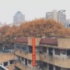 往事不可追