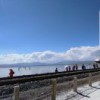 王涛_405