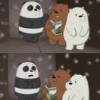 We Bears