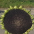 阳光