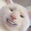 tongwoo