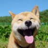 曾