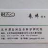 朱炜