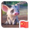 小鱼