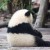 张 静