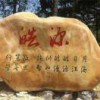 萤火虫的光
