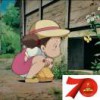 风之晴