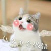 断岩