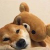黃大胖