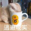 王木木乘以二