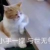 裕至
