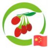 善言铭行