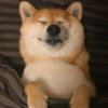易青