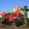 王志军