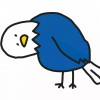 Andy_326