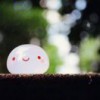 开心的笨小孩