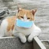 zhu_951