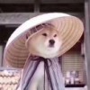 江湖