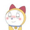 猪七七
