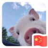 李大官人