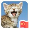 栀子。