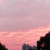 无～殇