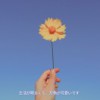 今天也是要努力的