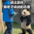 哈哈哈_40