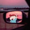 小黄花