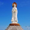 阖家幸福