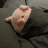 陈玉