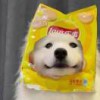 恋雨