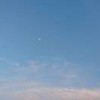 张鹏_998