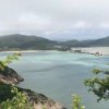 张军
