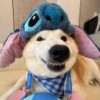 AAA.麦当劳